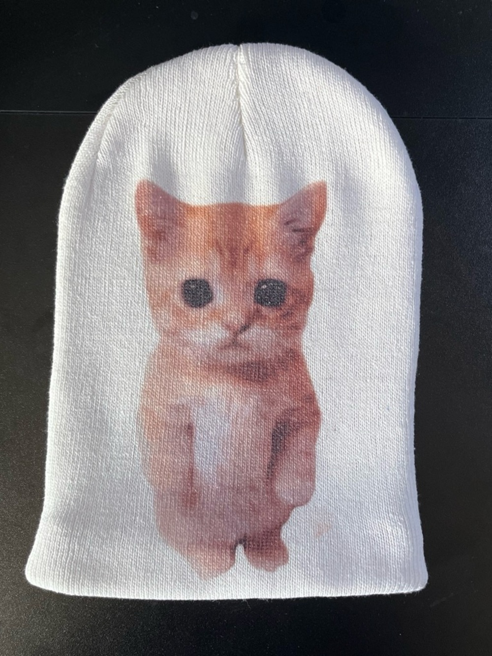 EL Gato Meme